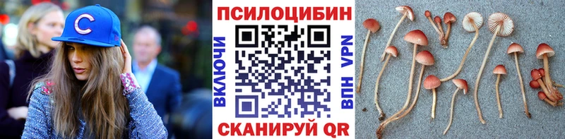 hydra зеркало  хочу наркоту  Игарка  Псилоцибиновые грибы GOLDEN TEACHER 